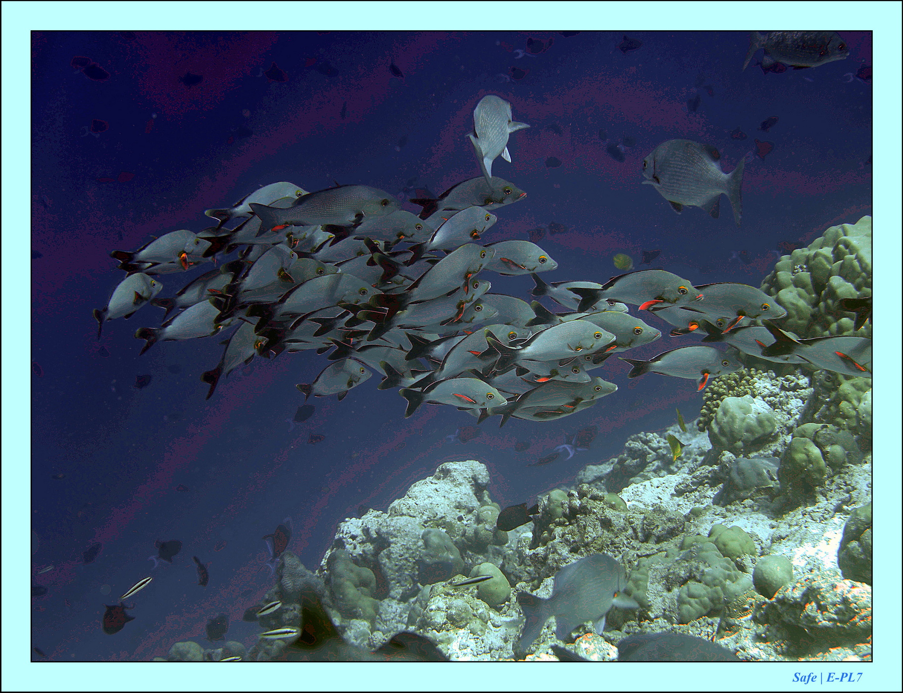 2023 - 07 - Sandies Bathala - 174